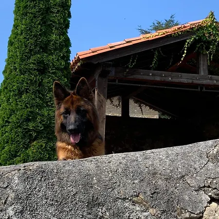 Апартаменты La Casina De Lucia